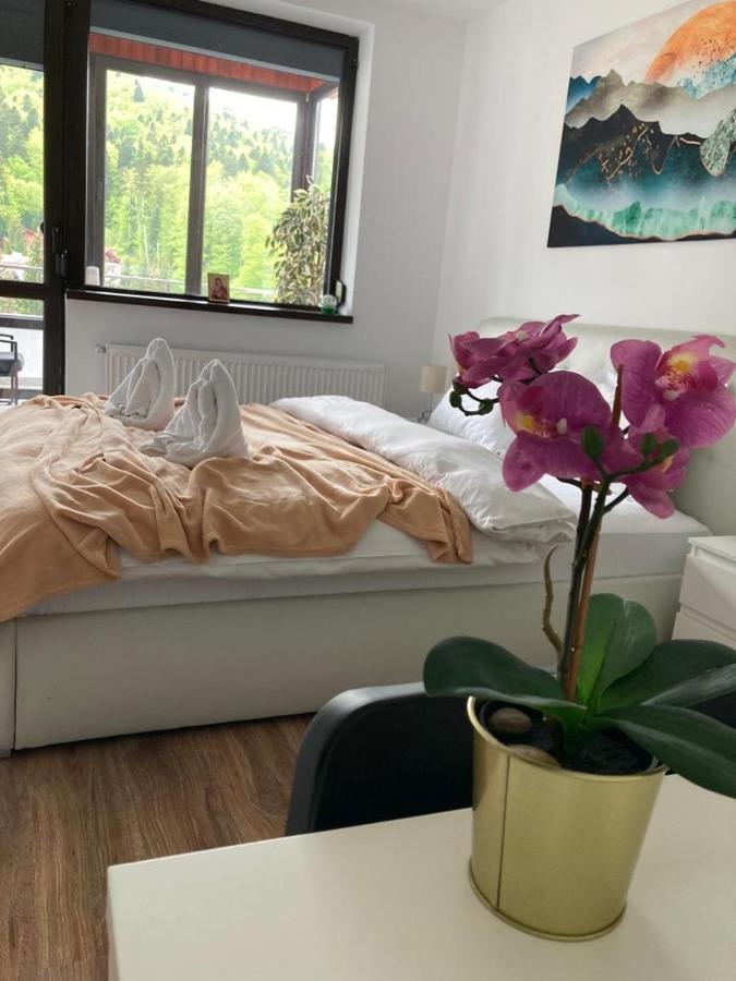 Best View Ap With Parking And 2 Bathrooms Sinaia Exterior foto